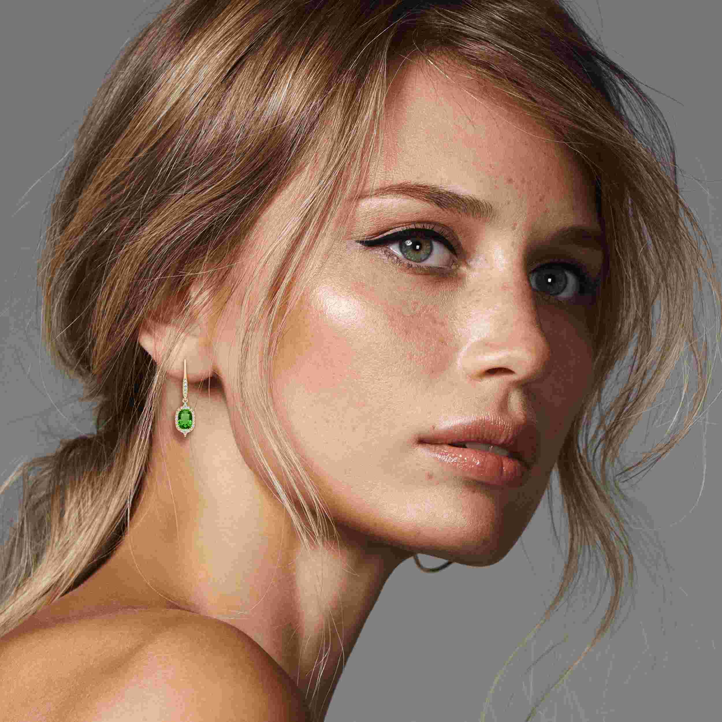 FER003743